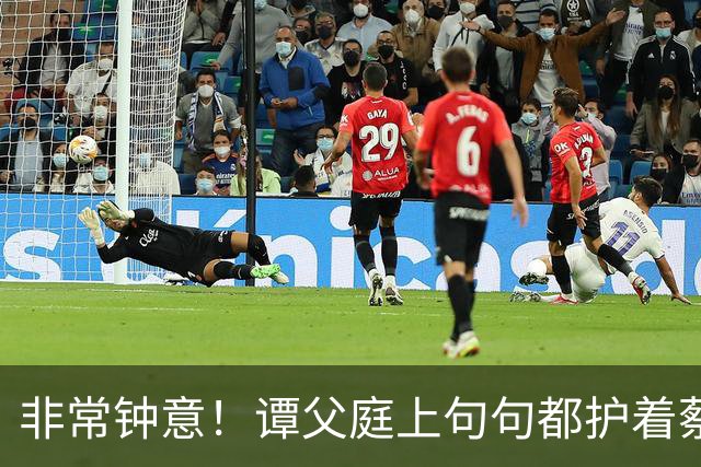 '非常钟意'！谭父庭上句句都护着蔡天凤，和她前夫家成了刺眼对比